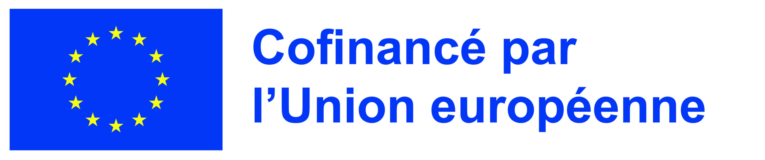 Logo UE (002)